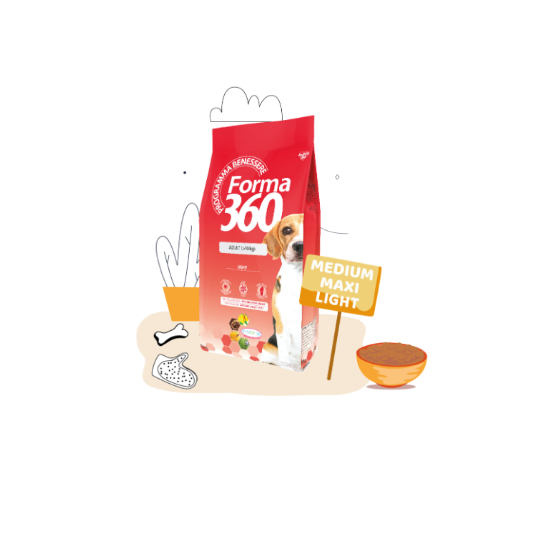 Forma 360 Adult Medium/Maxi Light 12kg