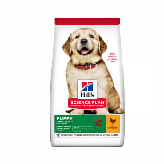 Hill's Science Plan Puppy Large Breed Chicken