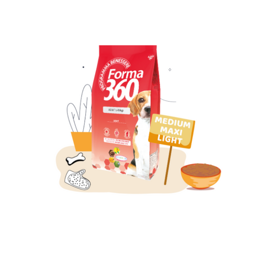 Forma 360 Adult Medium/Maxi Light 12kg