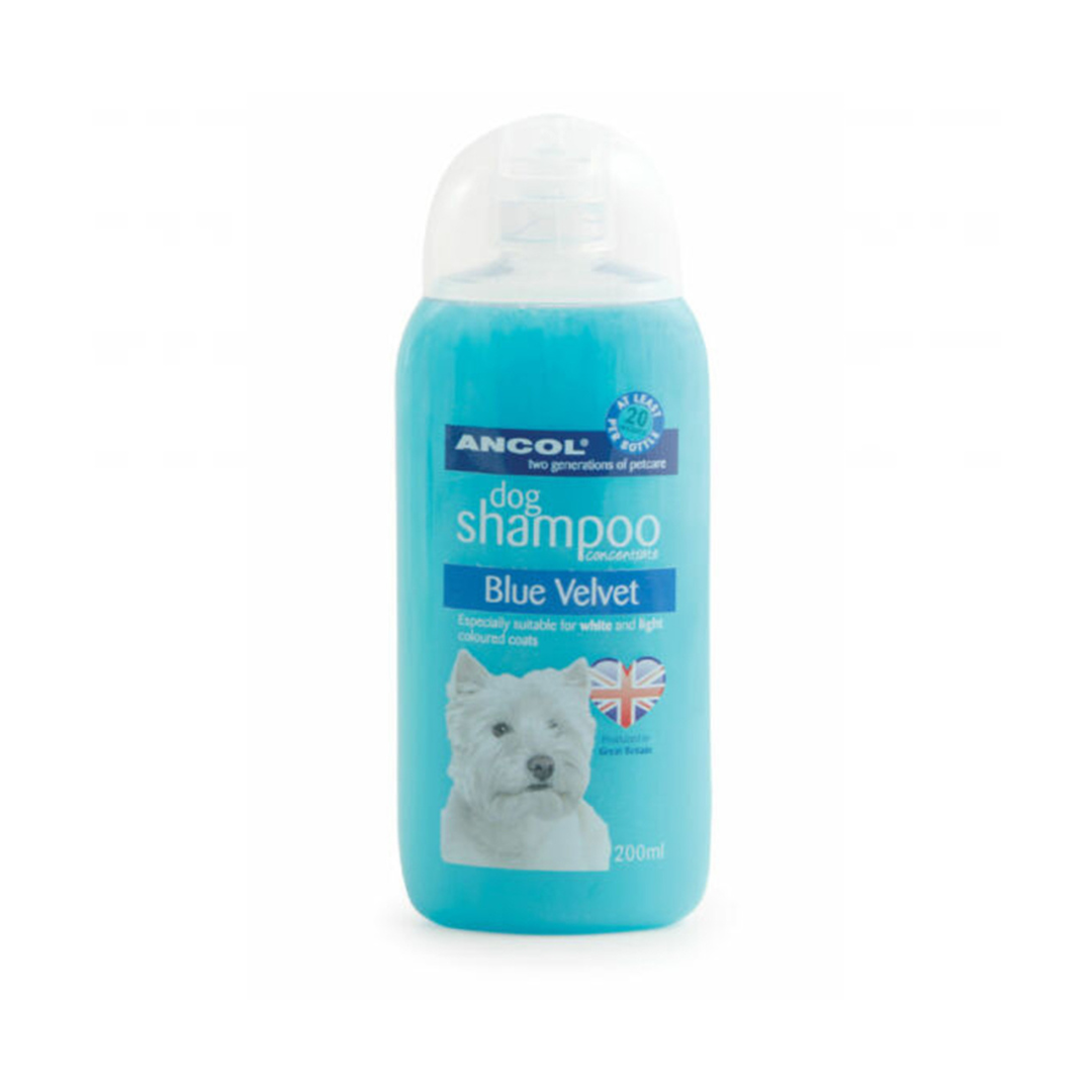 Dog Shampoo Blue Velvet